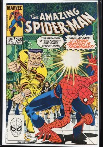 The Amazing Spider-Man #246 (1983) Spider-Man