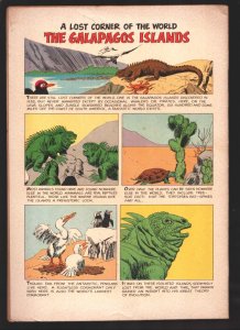 Four Color #1145  1960 - Dell  -FN - Comic Book