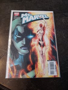 Ms. Marvel Special #1 (2007)