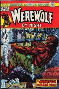Werewolf by Night #20 (1974) Werewolf by Night