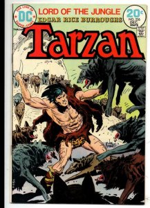 TARZAN of the APES #226, FN, Edgar Rice Burroughs,  Joe Kubert, 1972 1973