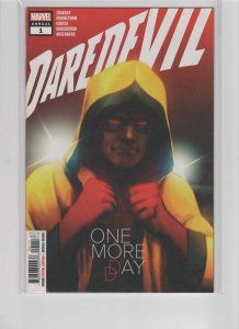 Daredevil Annual (2020)