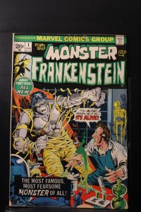 The Frankenstein Monster #1 (1973)
