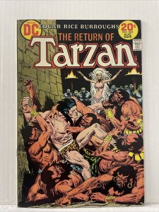 Tarzan #222