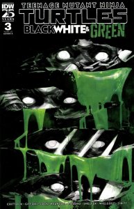 Teenage Mutant Ninja Turtles: Black, White & Green (2024) #3 NM IDW