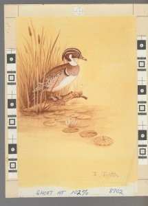 FOR YOU BIRTHDAY Wood Duck on Branch w/ Lillipad 6.25x8 Greeting Card Art #B8702