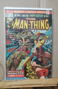 Man-Thing #8 (1974)