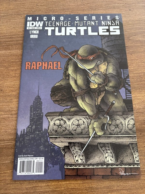 Teenage Mutant Ninja Turtles Micro-Series # 1 NM Raphael IDW Comic Book 1 J444