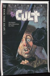 Batman: The Cult #3 (1988) Batman