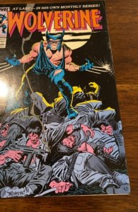 Wolverine #1 (1988) 1st solo on going series