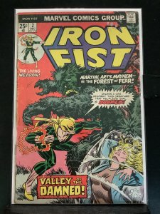 Iron Fist #2  (1975)
