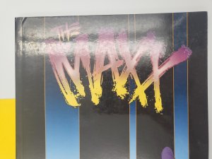 The Maxx Volume 3 TPB 2nd Print Wildstorm