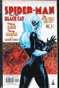 Spider-Man/Black Cat: The Evil that Men Do #2 (2002) Spider-Man
