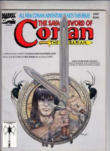 Savage Sword of Conan #207 (Mar-93) NM- High-Grade Conan