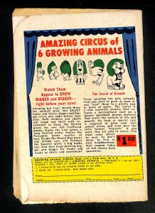 Flash #142 Trickster!