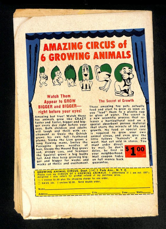 Flash #142 Trickster!