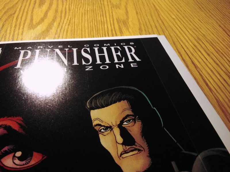 Punisher: War Zone #1 (2009)