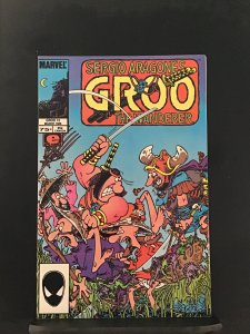 Sergio Aragones Groo the Wanderer #13