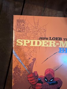 Spider-Man: Blue #4 (2002)