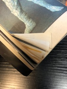 G-FAN Godzilla Fan Magazine #98 Winter 2012