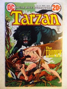 Tarzan #218 (1973)