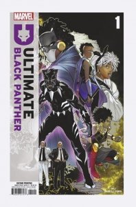 Ultimate Black Panther (2024) #1 NM Second Printing Variant Cover