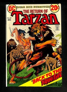 Tarzan (1972) #221