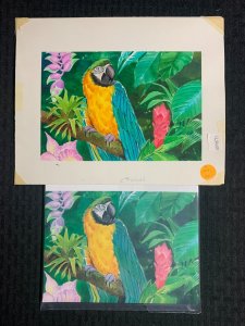 BIRTHDAY Colorful Parrot in Jungle 10x8 Greeting Card Art #B6028 w/ 20 Cards