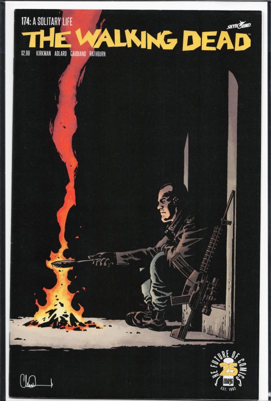 The Walking Dead #174 (2017) The Walking Dead