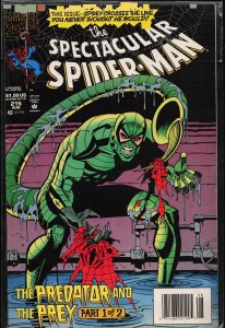 The Spectacular Spider-Man #215 (1994) Spider-Man
