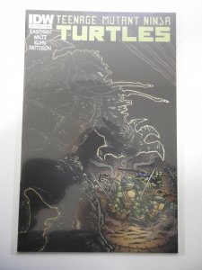 Teenage Mutant Ninja Turtles #15 Cover B - Kevin Eastman Variant (2012)