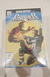 Punisher #1 Variant Edition (2009)