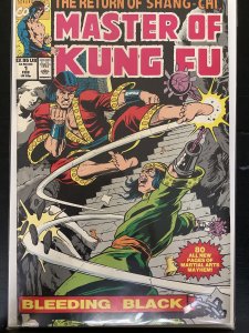 Master of Kung Fu: Bleeding Black (1991)