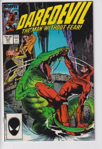 DAREDEVIL #247 (Oct 1987) NM 9.4, white.