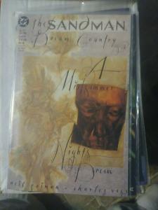 SANDMAN # 19 1990 DC COMICS+ NEIL GAIMAN +DREAM COUNTRY PT 3  high grade