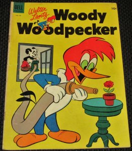 Walter Lantz Woody Woodpecker #20 (1953)