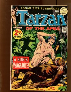 Tarzan #208 - Joe Kubert Cover Art! (6.5) 1972