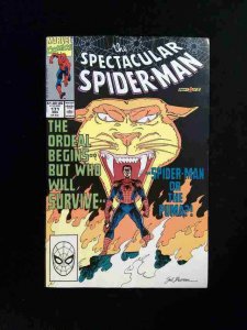 Spectacular Spider-Man #171  MARVEL Comics 1990 FN/VF