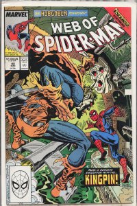 Web of Spider-Man #48 (1989) Spider-Man