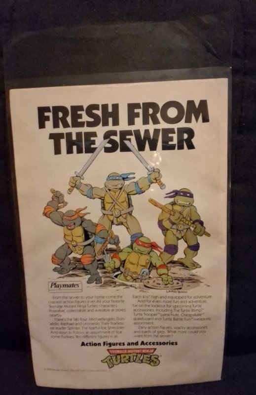 Teenage Mutant Ninja Turtles Adventures #1 (1989)
