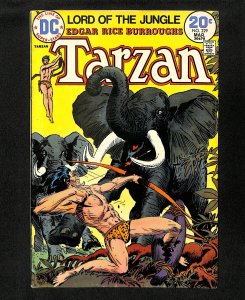 Tarzan (1972) #229