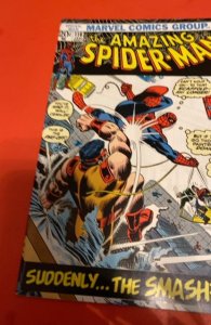 The Amazing Spider-Man #116 (1973) Romtia