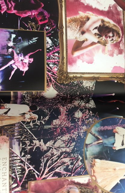 Taylor Swift 2011 speak now tour book w/ poster