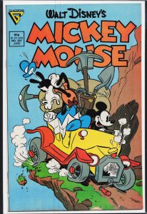 Mickey Mouse #237 (1988)