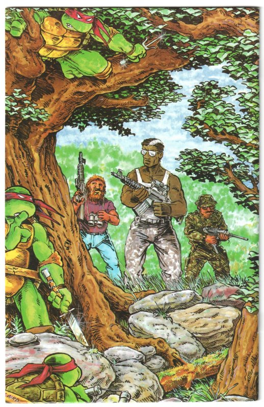 Teenage Mutant Ninja Turtles #12 (1987)