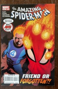 The Amazing Spider-Man #591 (2009)