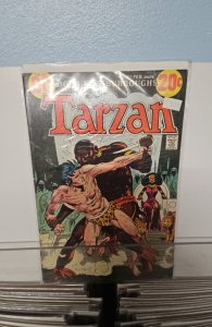 Edgar Rice Burroughs' Tarzan #217 (1973)