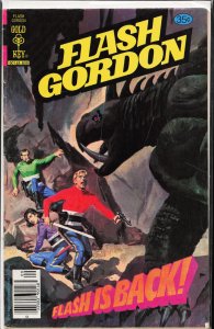 Flash Gordon #19 (1978)
