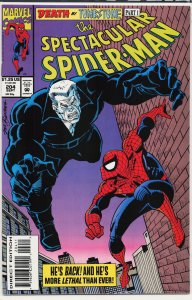 The Spectacular Spider-Man #204 (1993) Spider-Man