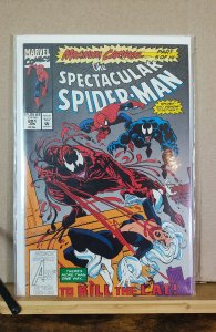 The Spectacular Spider-Man #201 (1993)